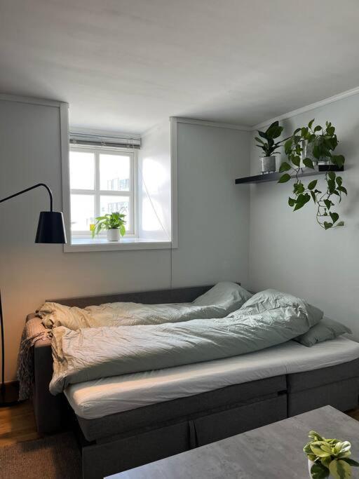 Cozy Ground Floor Apartment Тромсё Экстерьер фото