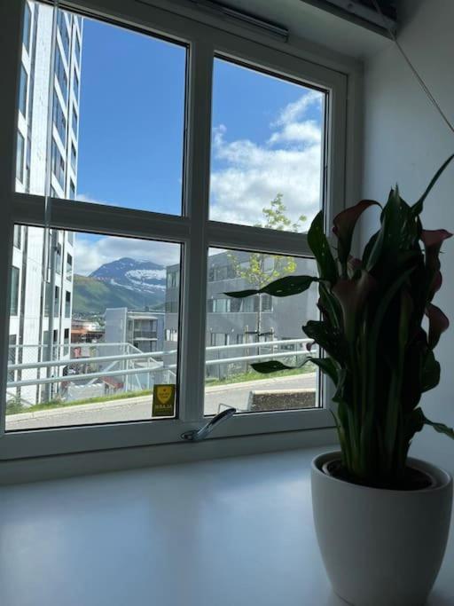 Cozy Ground Floor Apartment Тромсё Экстерьер фото