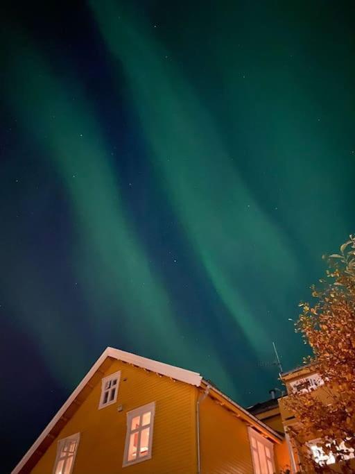 Cozy Ground Floor Apartment Тромсё Экстерьер фото