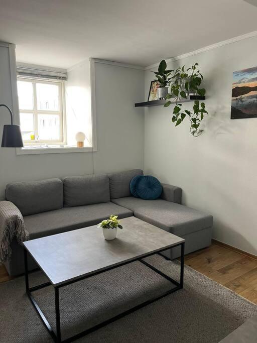 Cozy Ground Floor Apartment Тромсё Экстерьер фото